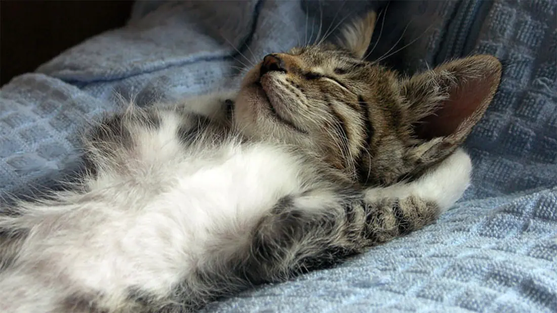 relax